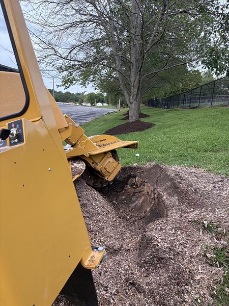 Tree Care services in Rocheport